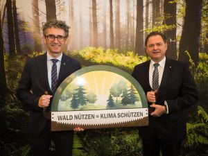 OEHG2017 c FHP Hafenscher 037